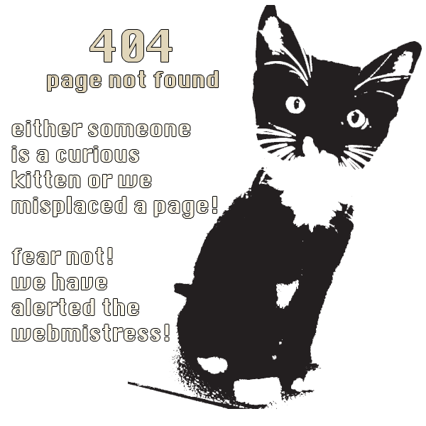 404 page not found