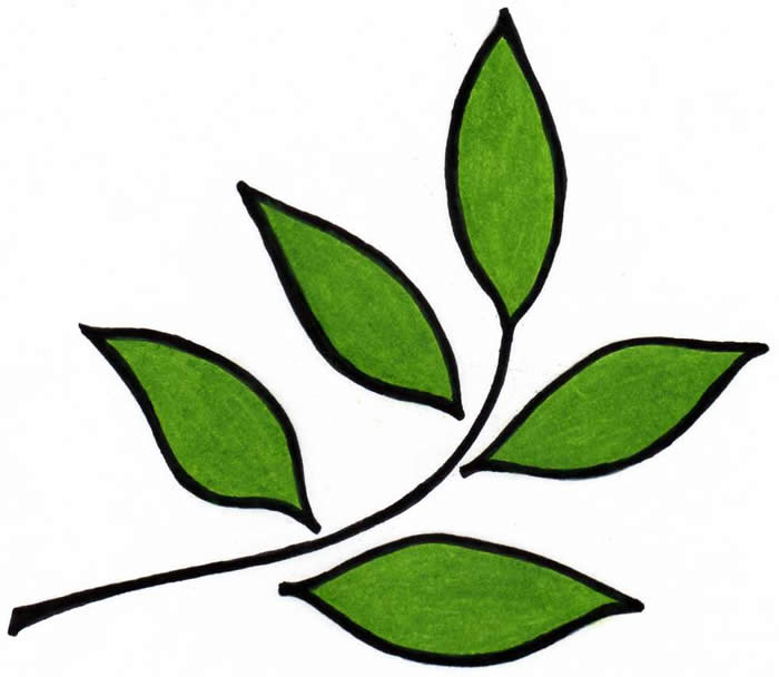 Enviro Leaf