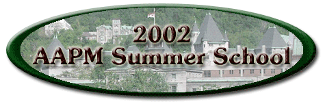 2002 AAPM Summer School Logo